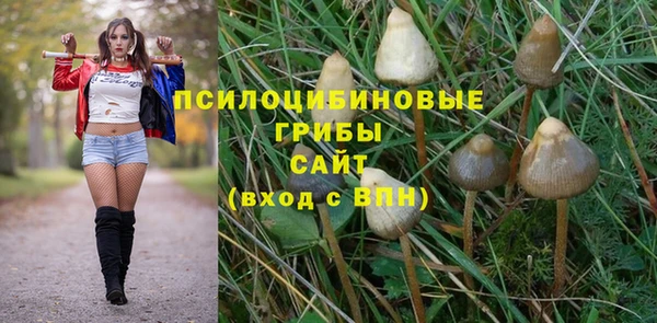 гидропоника Балабаново