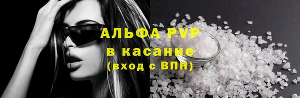 сатива Балахна
