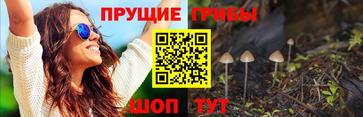 Галлюциногенные грибы MAGIC MUSHROOMS Улан-Удэ