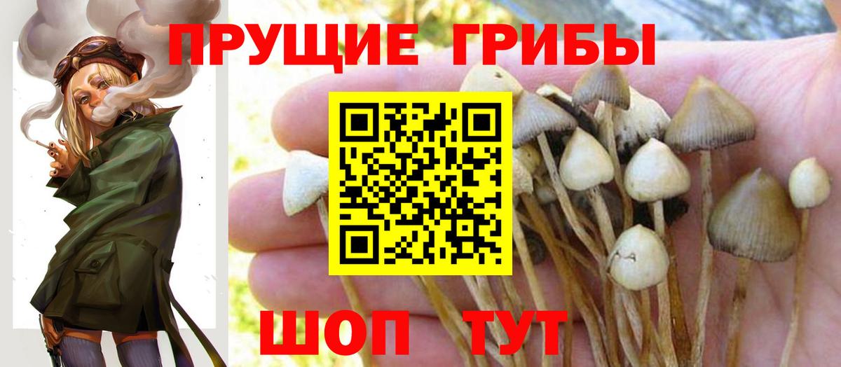 Улан-Удэ  Псилоцибиновые грибы мухоморы  Вход с VPN  Галлюциногенные грибы Magic Shrooms 