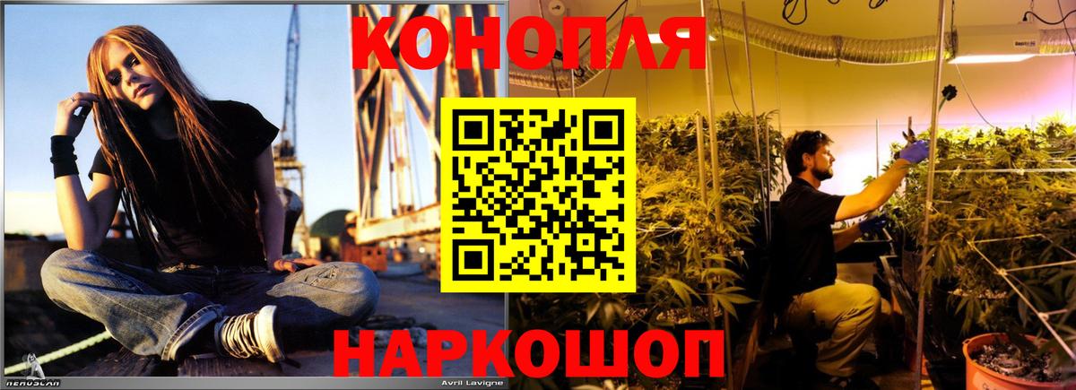 Бошки Шишки семена Улан-Удэ